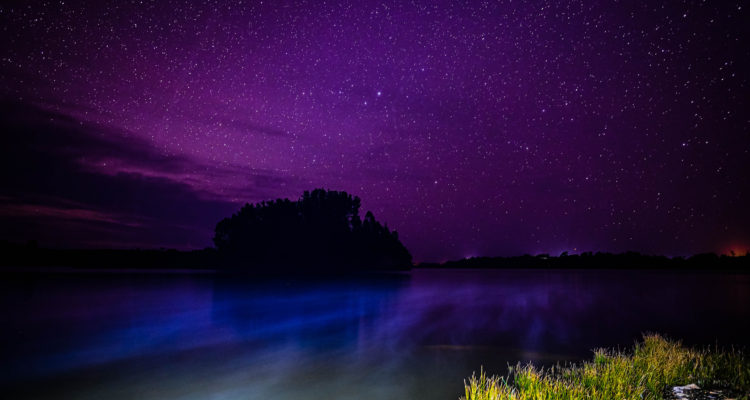 Marcos Maldonado | Agencia UNO
