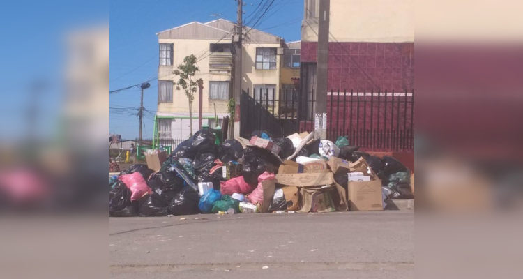 Marco Sanhueza | RBB