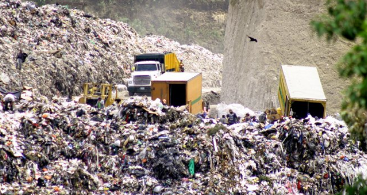 ARCHIVO | Surizar (CC)
