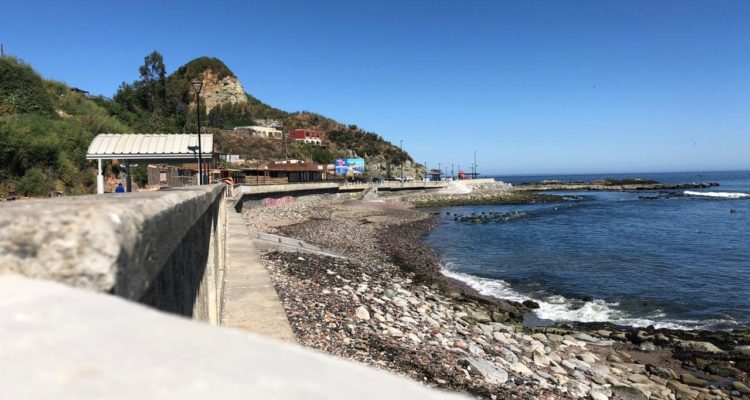 @MOPBiobio | Twitter