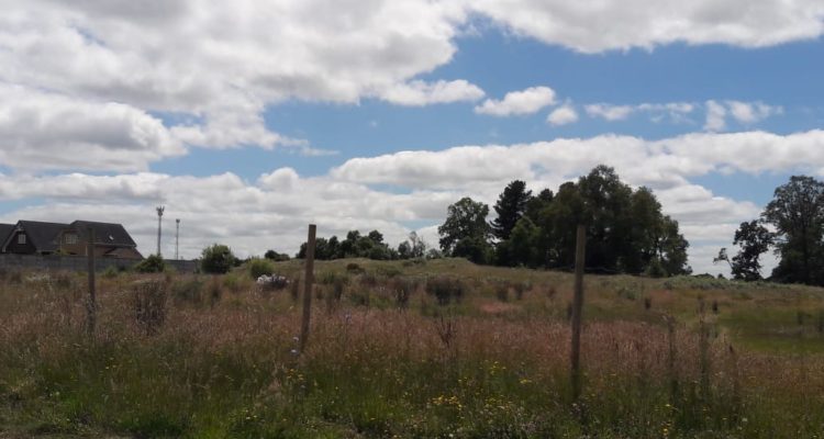 Ministerio de Medio Ambiente Los Lagos | Twitter