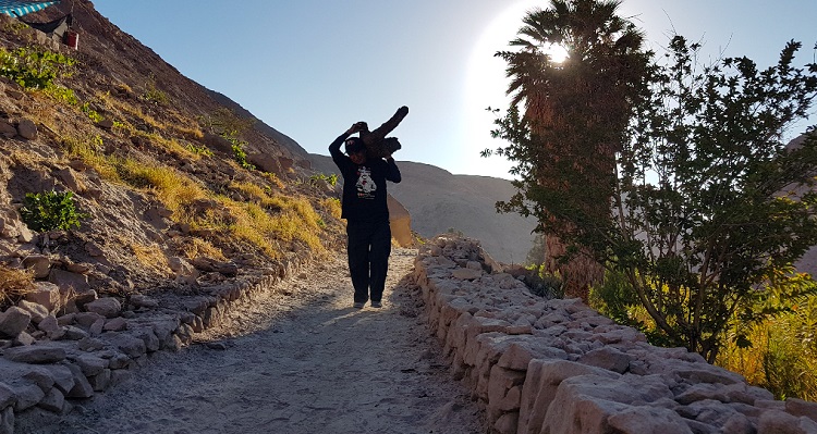 Festival Sarañani!, Fundación Altiplano (c)