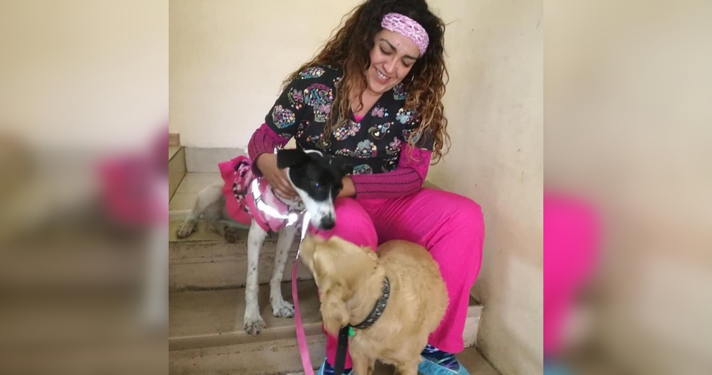 Fundación Alma De Gato Chile| Instagram
