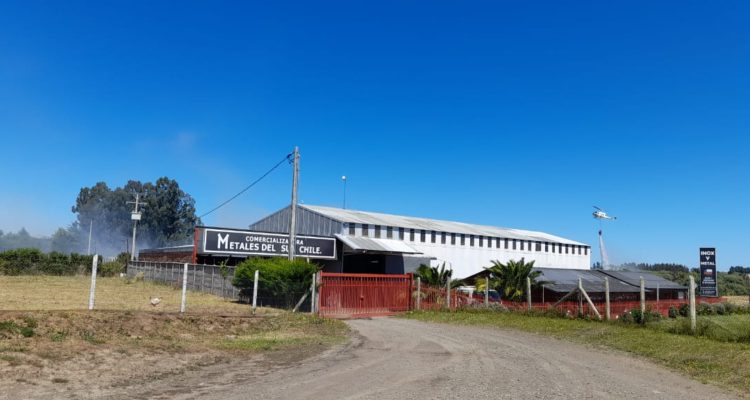 Valentina Balboa (RBB)