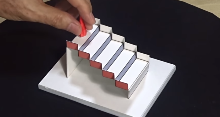 Best Illusion of the Year Contest