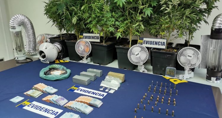 Marihuana incautada en Talcahuano | Pedro Cid (RBB)