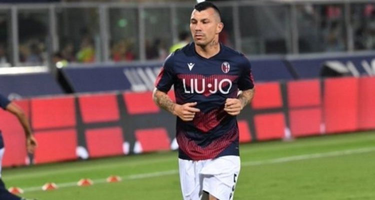Bologna | Oficial