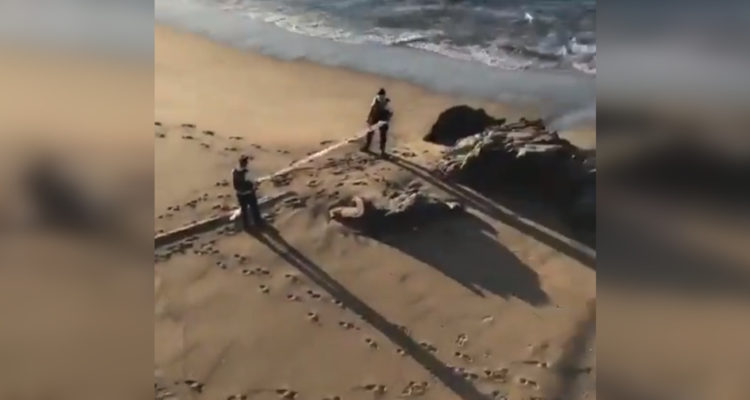 @AgenciaQuinta | Twitter