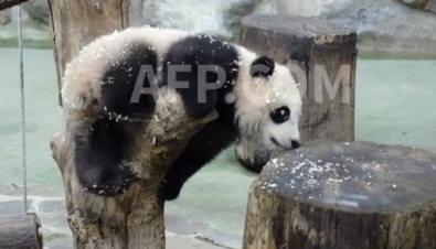 Captura de video | AFP