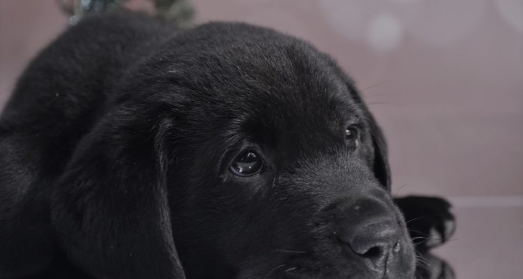 Contexto | Max Pixel