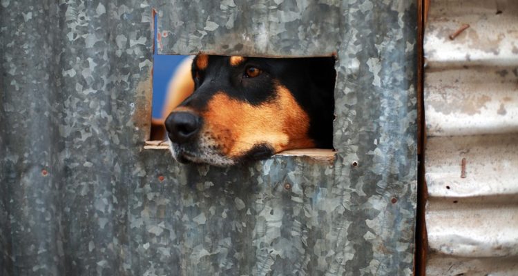 Contexto | ARCHIVO | Agencia UNO