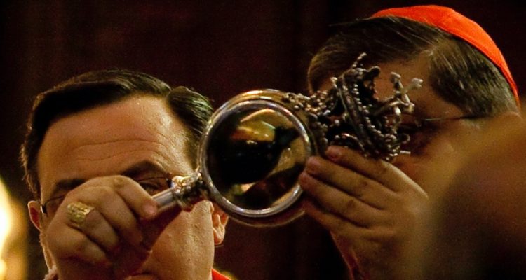 Paola Magni | Flickr