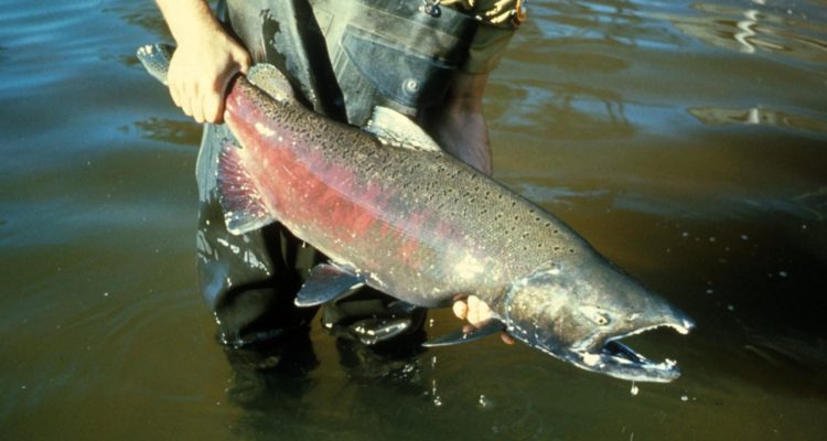 Contexto | https://pixnio.com/