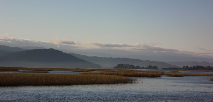 CONTEXTO | Sebacorreabarra (cc) 
