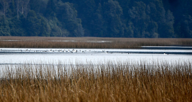 CONTEXTO | Agencia UNO