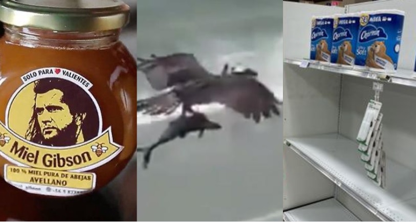 Capturas