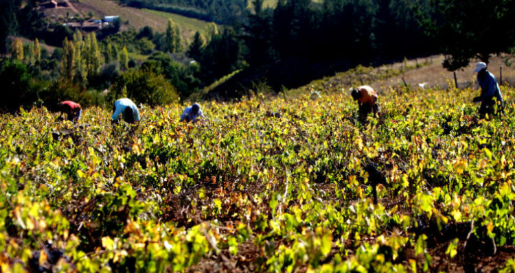 CONTEXTO | Agencia UNO