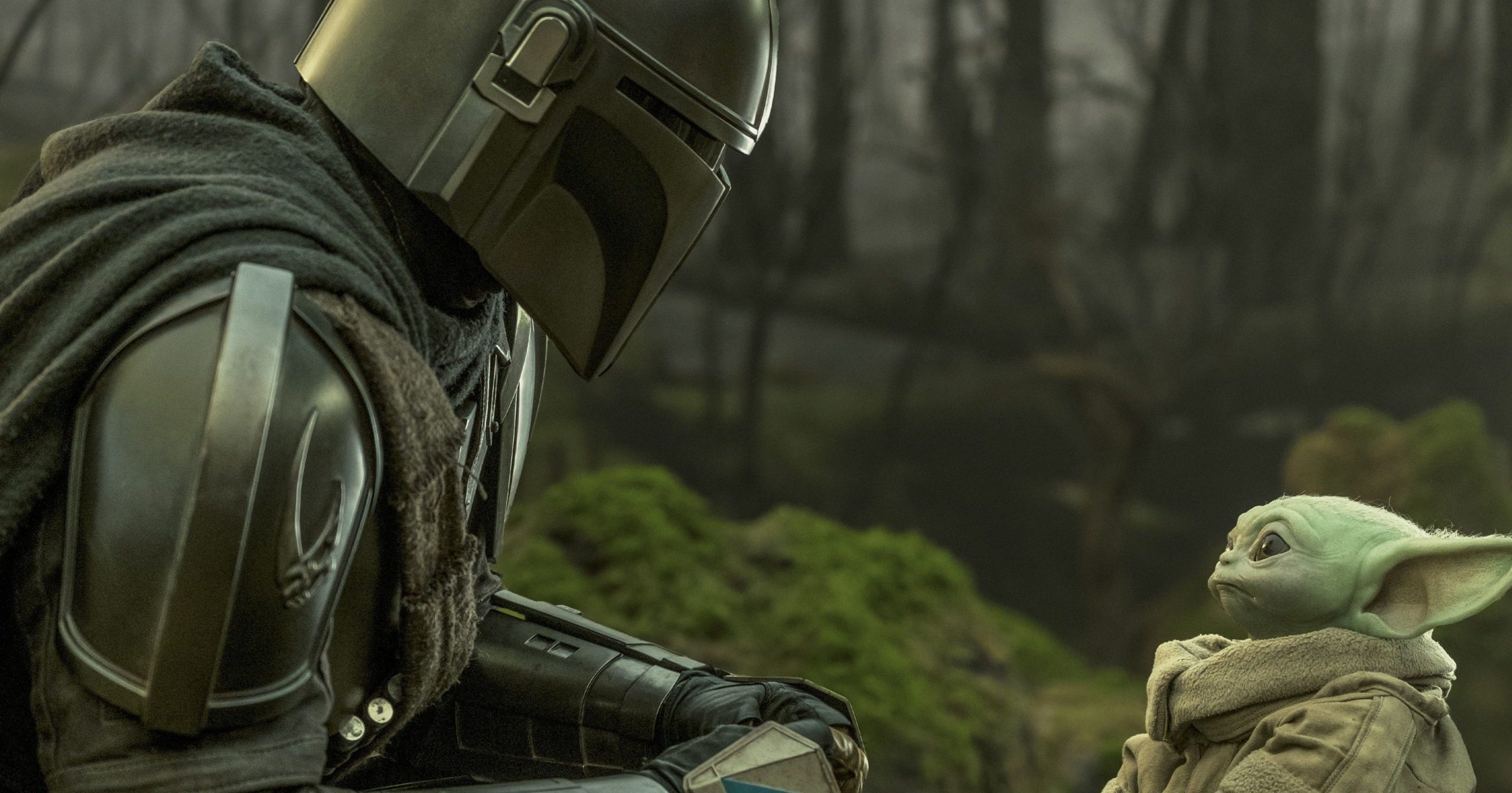 The Mandalorian 