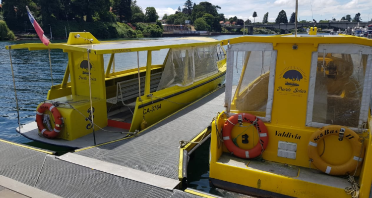 @MTTLosRios | Twitter