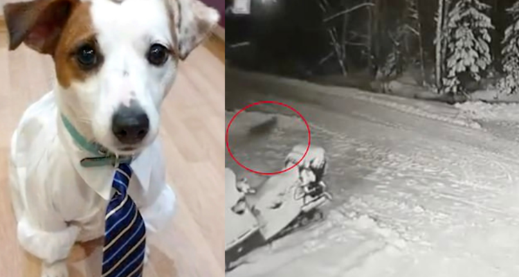 The Sun y Captura de cámara