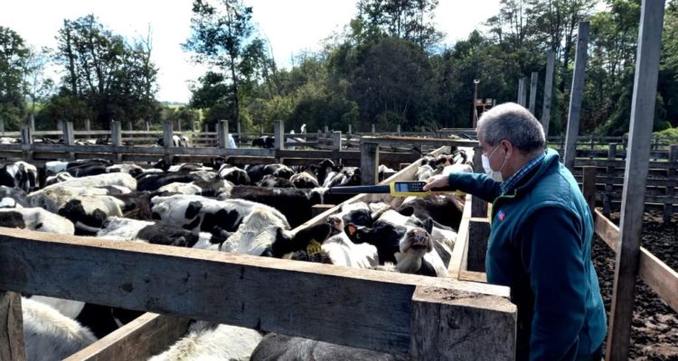 Carlos Martínez | RBB