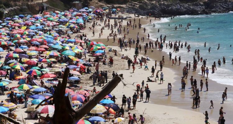 Algarrobo | Agencia UNO