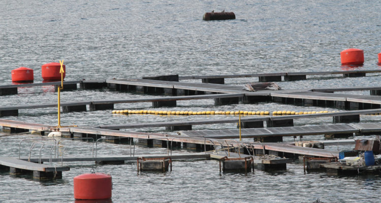 CONTEXTO | Agencia UNO