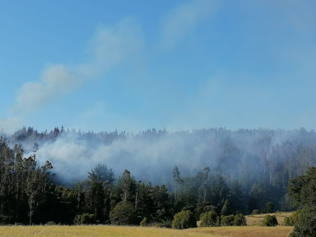 red alert forest fire Temuco