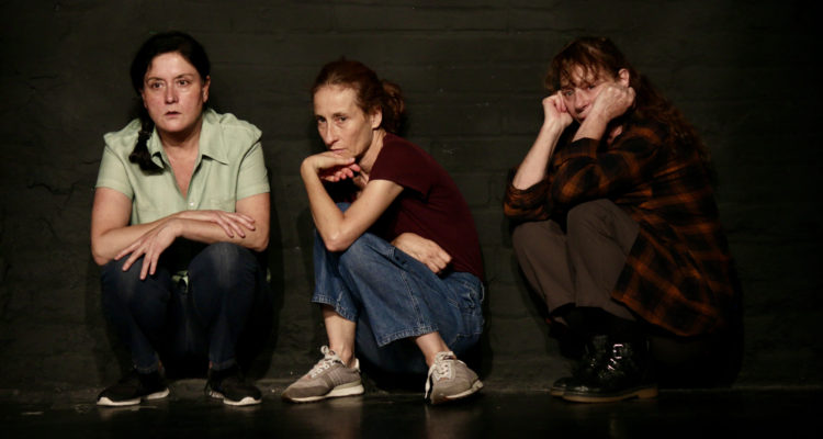 Brutas | Carolina Julian