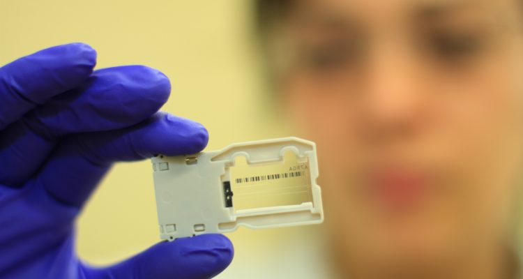 Facultad de Ciencias Universidad Austral de Chile.