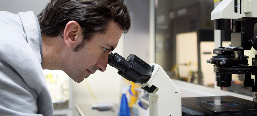 Geroscience Center for Brain Health and Metabolism | Twitter