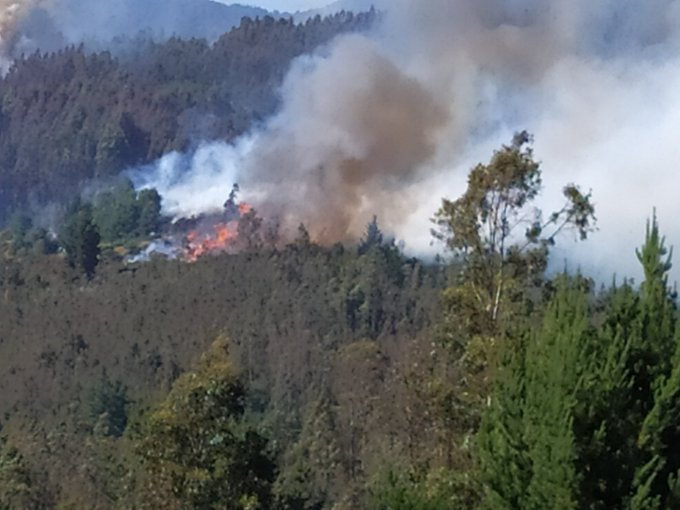 Temuco forest fire red alert