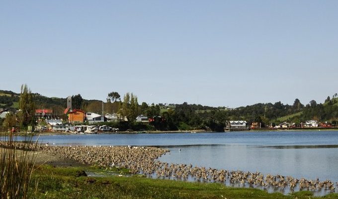 Ministerio de Medio Ambiente | Claudio Delgado 