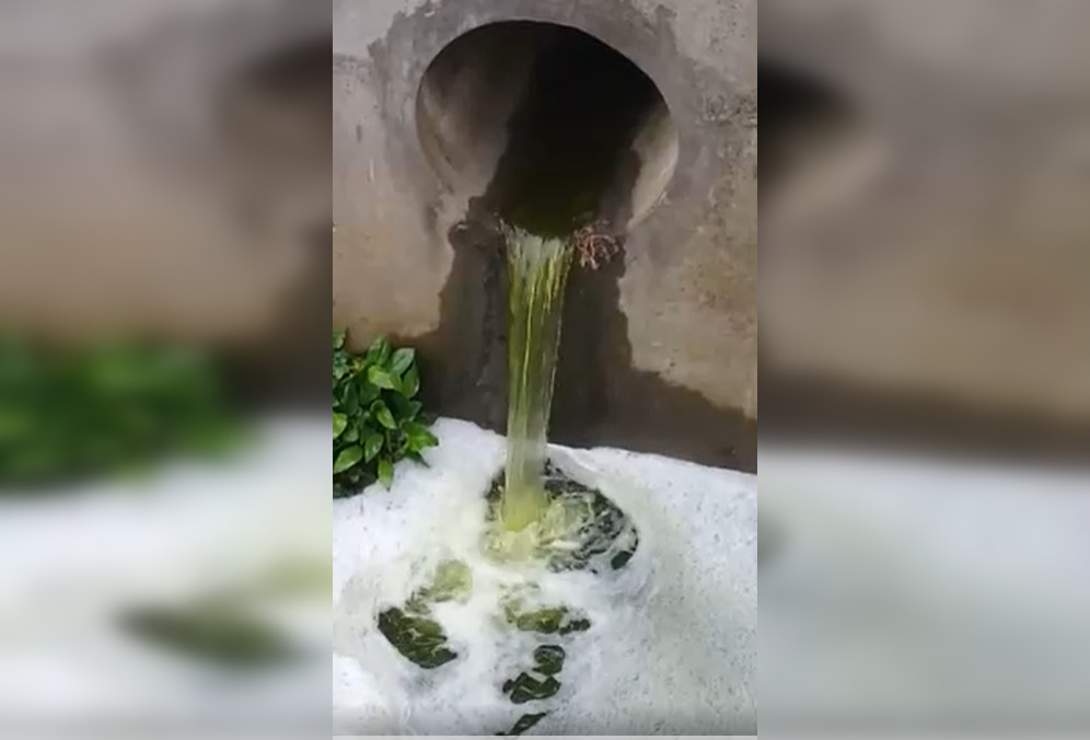 Captura de video