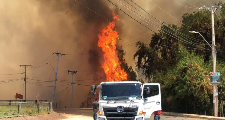 Alejandro Alegría | Twitter