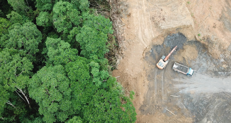 WWF – Informe Frentes de Deforestación