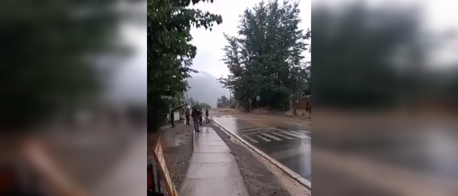Captura de video