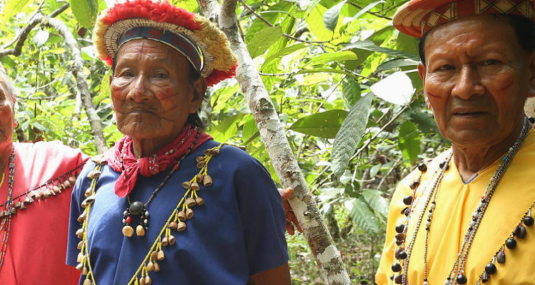 Miembros de la nacionalidad Siekopai en territorio ancestral Siekopai, Amazonia ecuatoriana | Amazon Frontlines y Alianza Ceibo