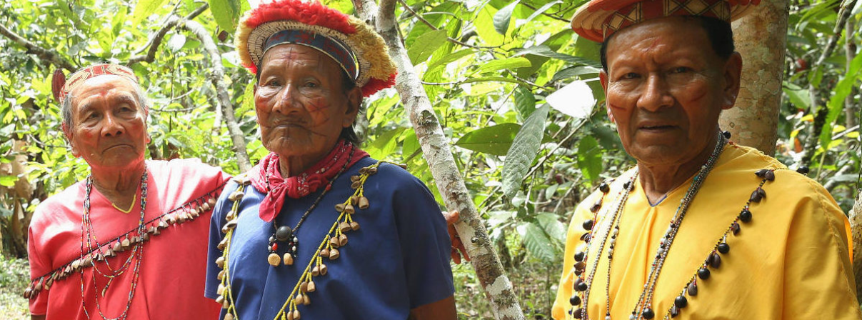 Miembros de la nacionalidad Siekopai en territorio ancestral Siekopai, Amazonia ecuatoriana | Amazon Frontlines y Alianza Ceibo
