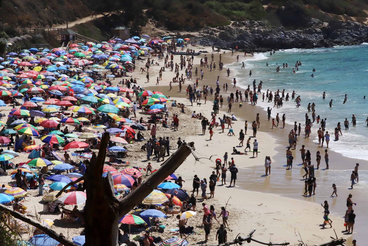 Algarrobo en Paso 3 el 16 de enero | Agencia UNO