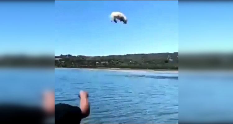 Captura de video