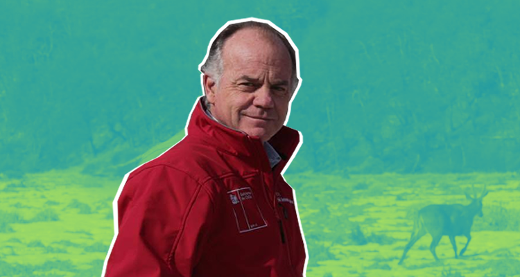 Edición Jaime Silva (BBCL)