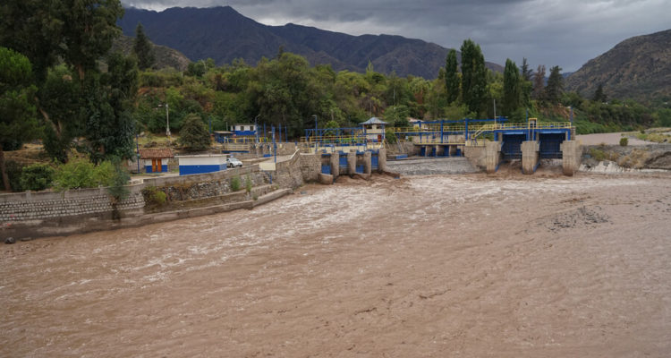 Francisco Castillo | Agencia UNO