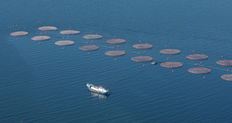 Contexto | Agencia UNO