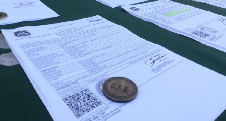 Valeska Belmar | RBB