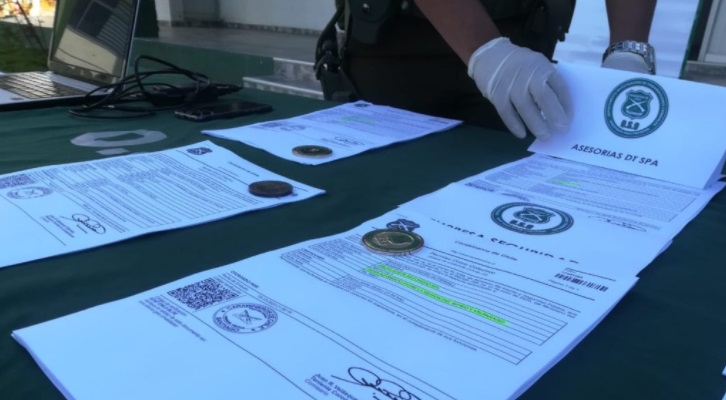 Valeska Belmar | RBB