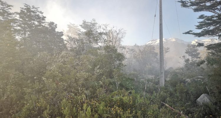 Robinson Cardenas | RBB