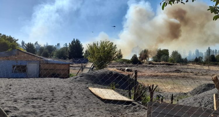 Valentina Balboa | RBB