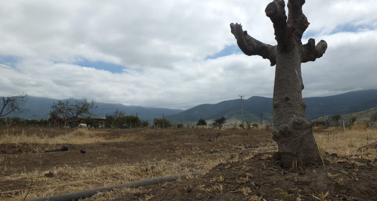 CONTEXTO | Agencia UNO