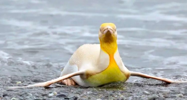 Fotógrafo: Yves Adams